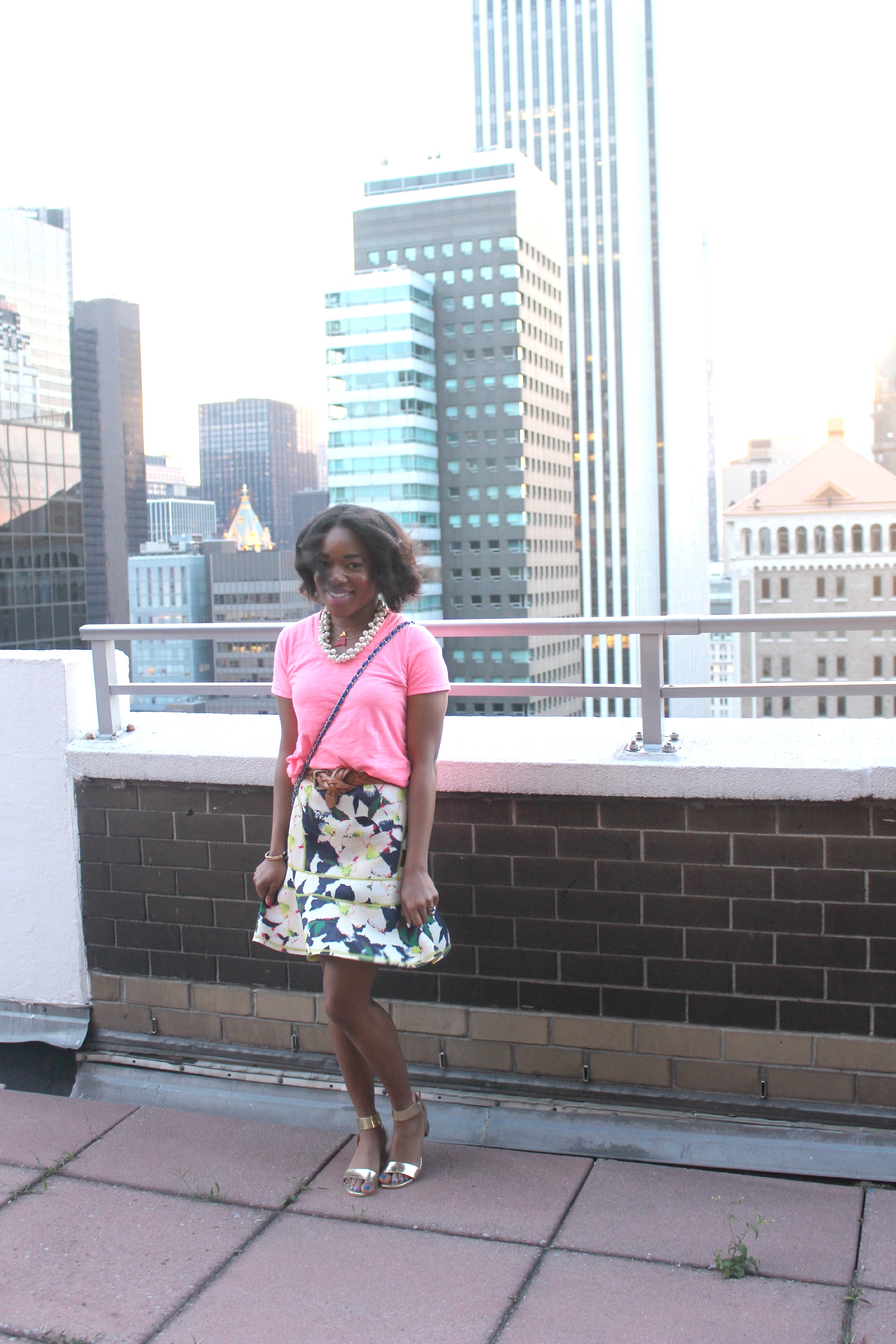 Chanel Small Jersey Quilted Flap New York City Rooftop